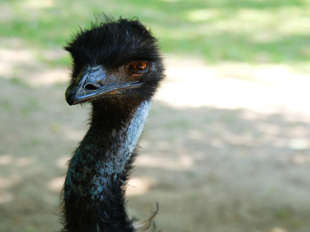 Tierpark Zittau-Zittau必去景点