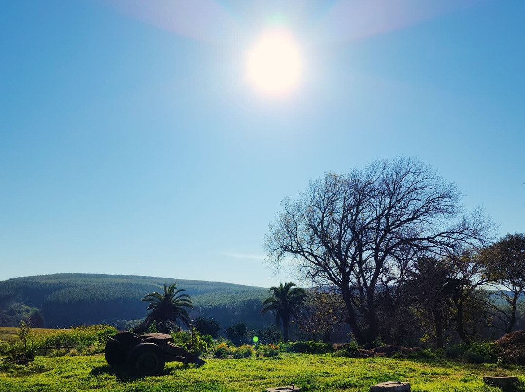 The Old Mushroom Farm-豪威克必去景点