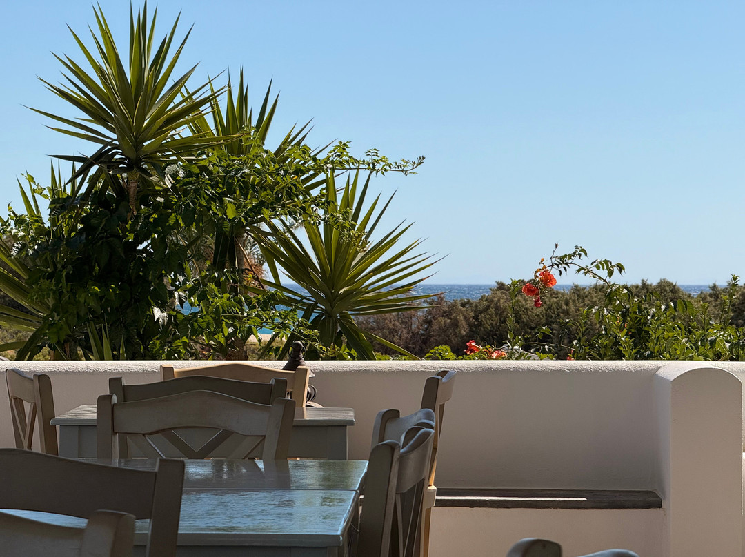 Agiassos餐馆和美食-Glyfada Naxos Restaurant