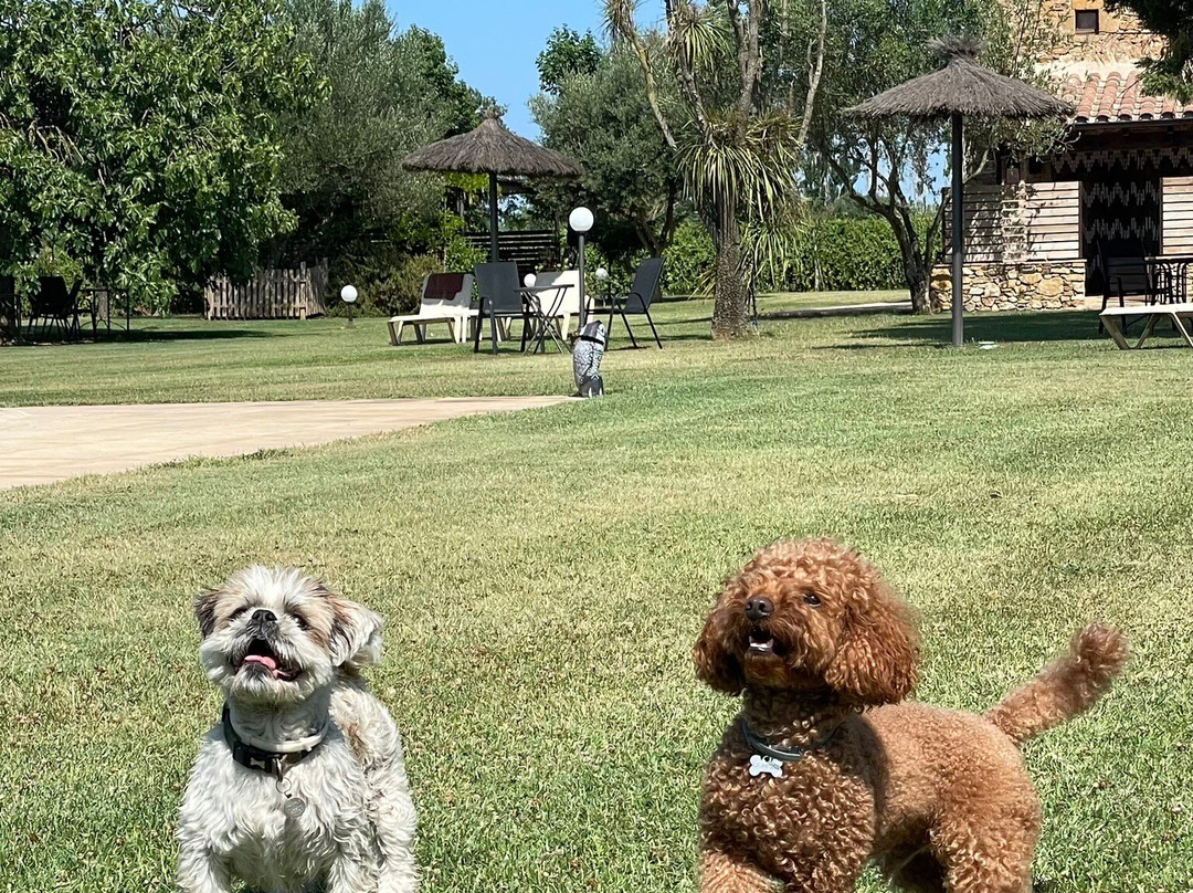 Hotel Mas Rabiol主图