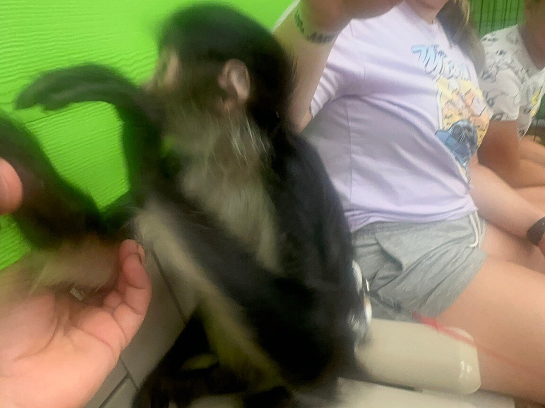 Branson's Promised Land Zoo-布兰森必去景点