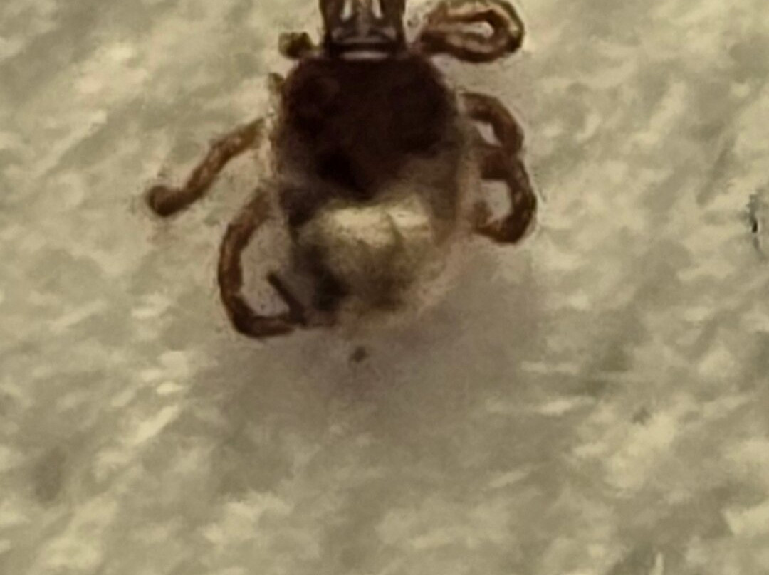 Black Creek Provincial Park-Stokes Bay必去景点