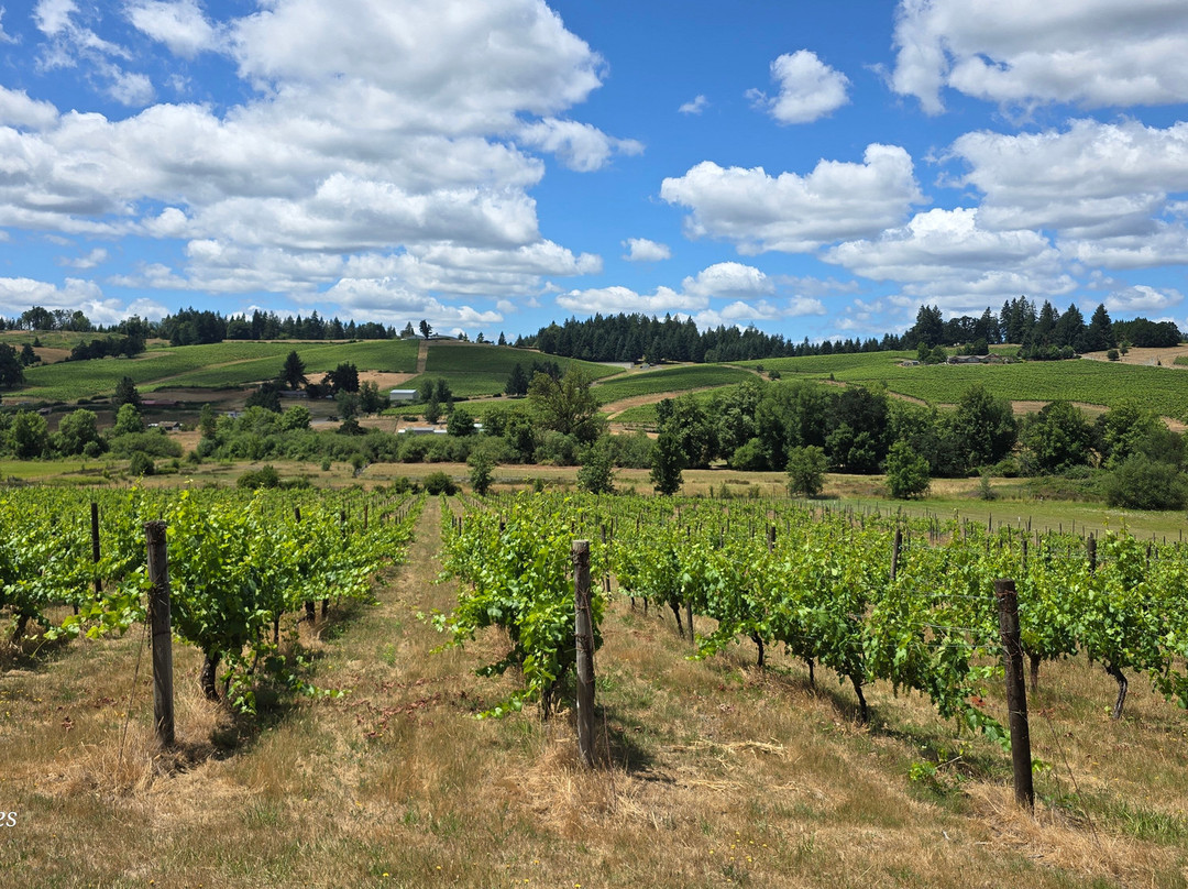 Silvan Ridge Winery-尤金必去景点