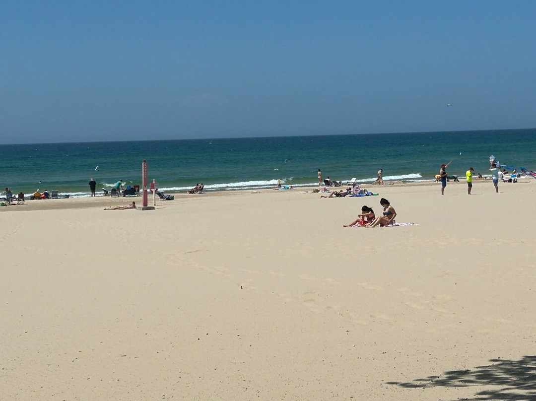 Stearns Park-拉丁顿必去景点