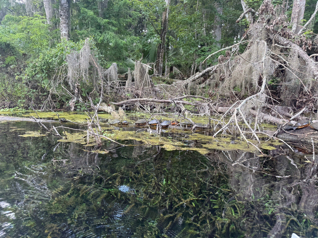Kayaking Silver Springs-Silver Springs必去景点