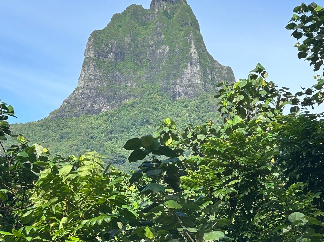 Tiki Parc Moorea-莫雷阿岛必去景点