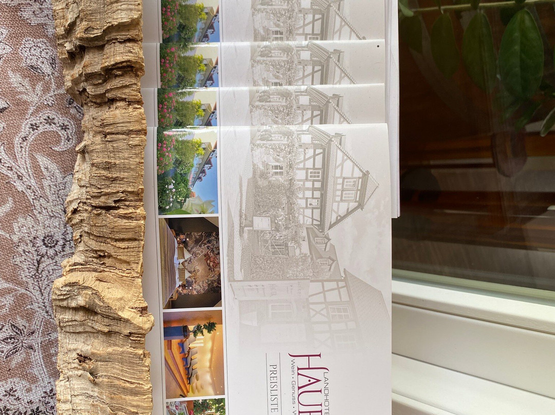 Landhotel Hauer主图