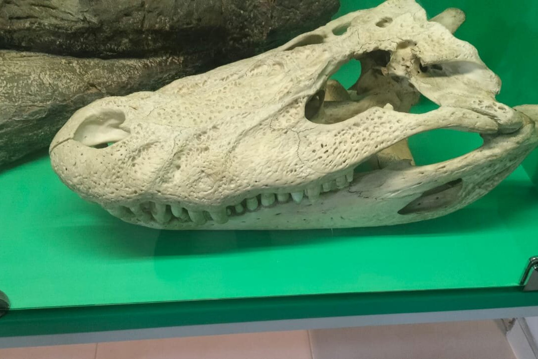 Museo De La Tatacoa-Villavieja必去景点