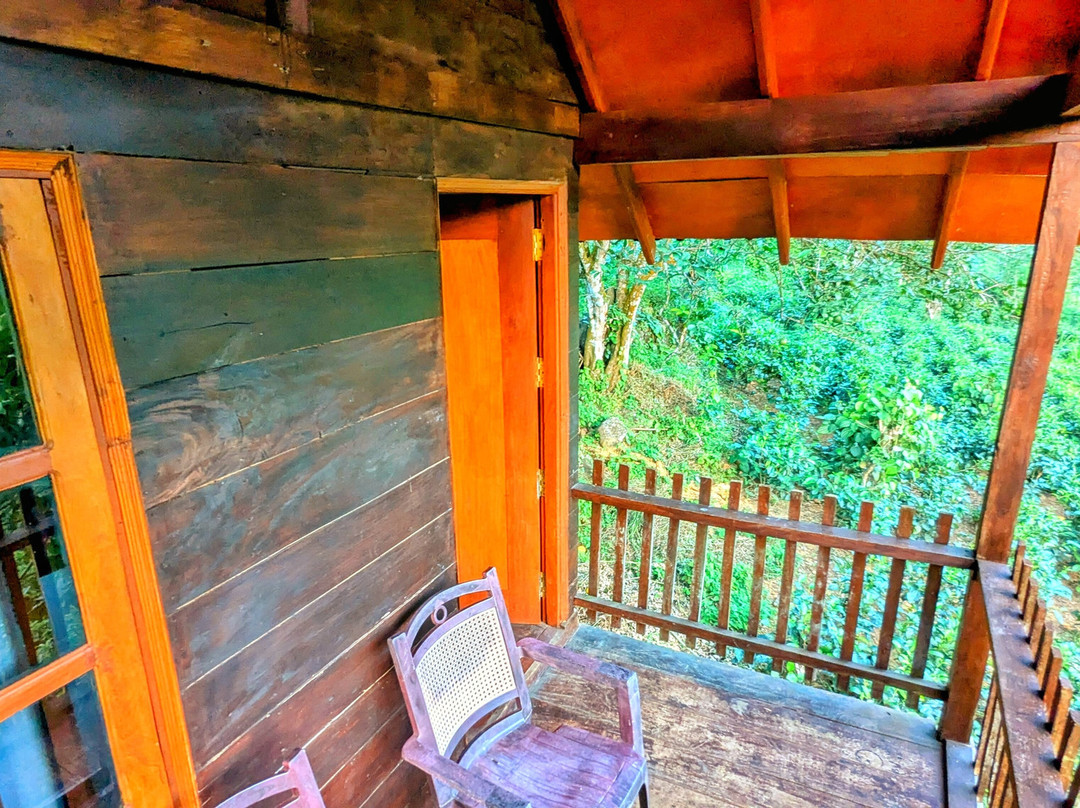 Sinharaja Forest Lodge - Deniyaya