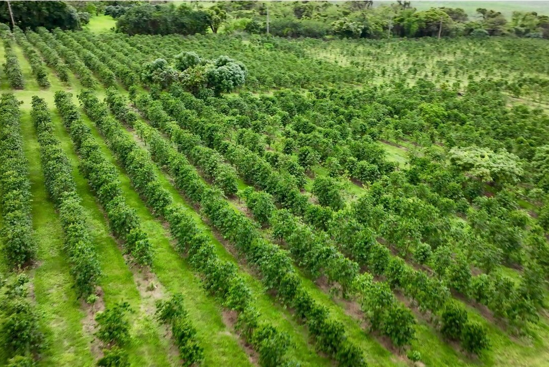 大视野农场-霍那吾那吾必去景点