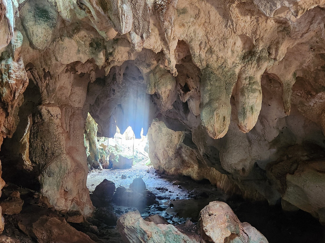 Hamilton's Cave Tours-长岛必去景点
