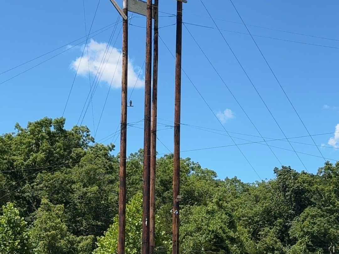 Branson Zipline at Wolfe Mountain-Walnut Shade必去景点