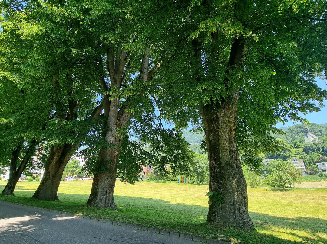 Seepromenade Mondsee