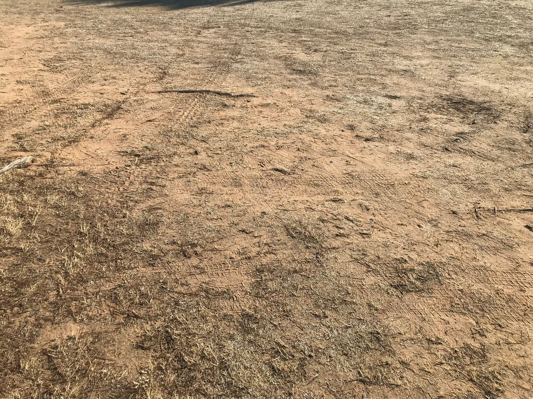 Pinheiros Altos-阿尔加威必去景点