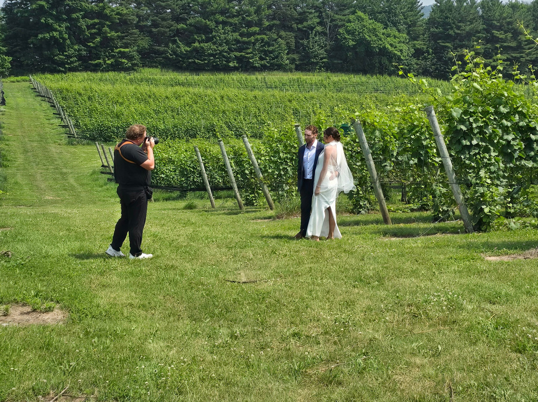 Blustone Vineyards-Lake Leelanau必去景点