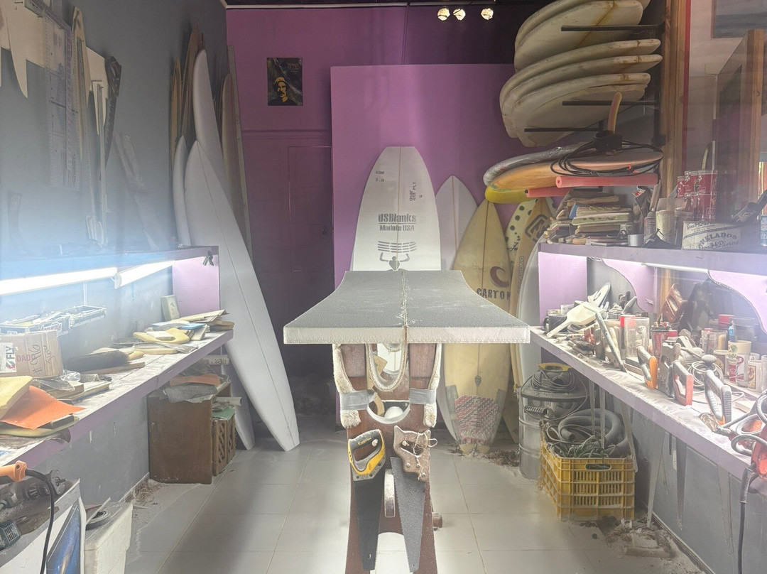 Carton the Surf Shop-哈科必去景点