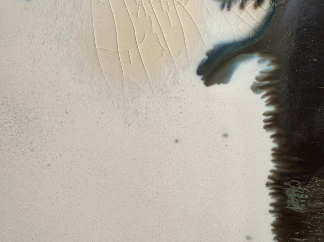 Edgecomb Potters-Edgecomb必去景点