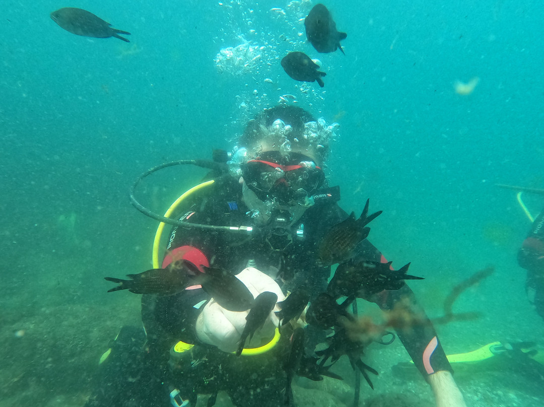 Sub Diving-索佐波尔必去景点