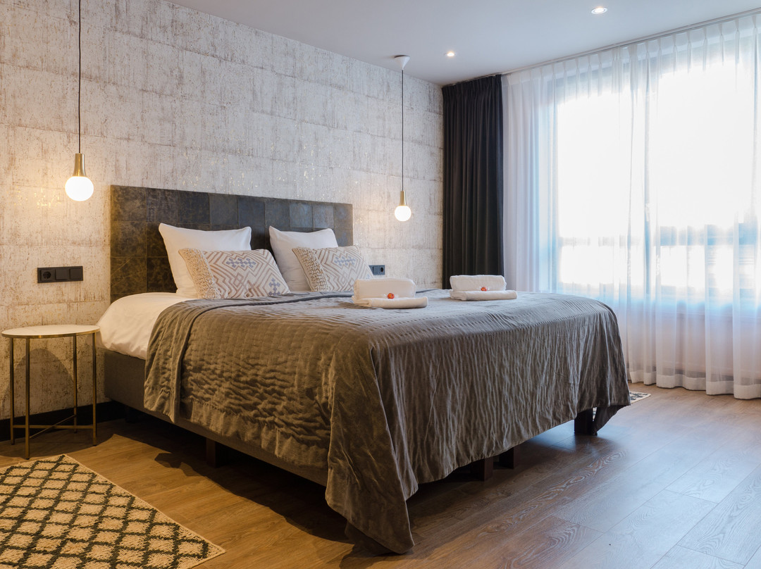 Boutique Suites Lisse - Keukenhof主图