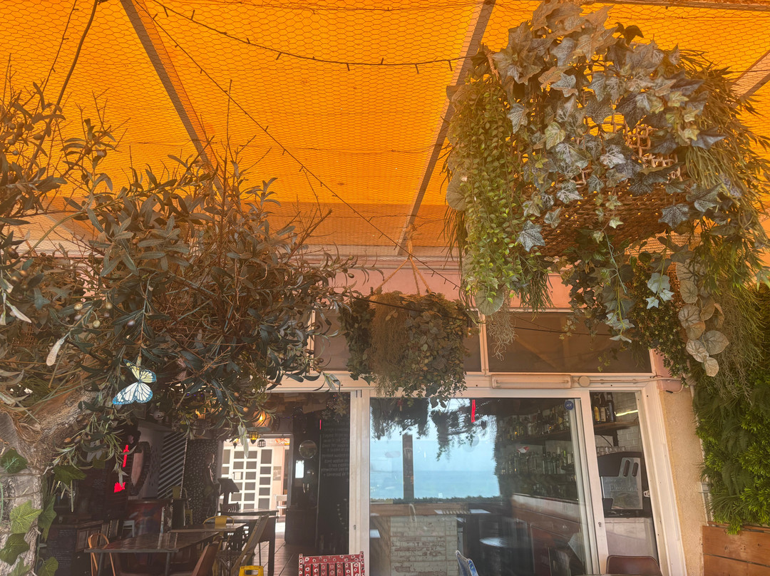 Santo Chihuahua Restaurant