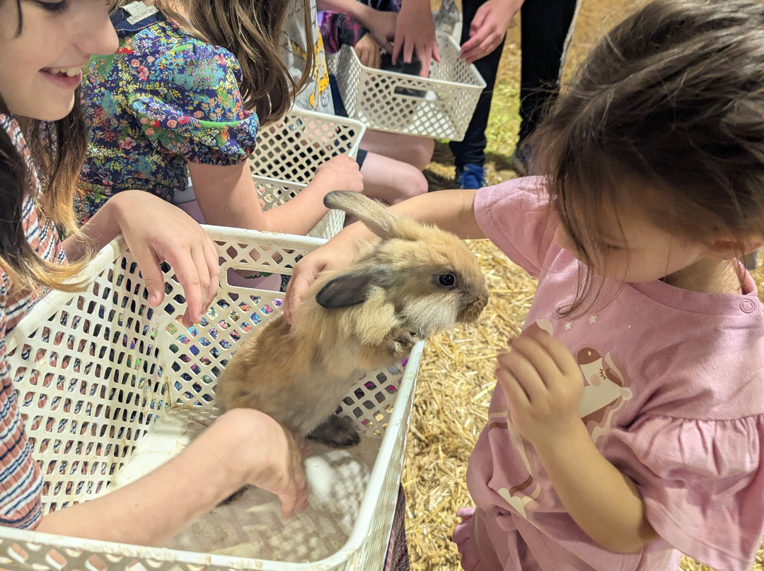 The Biblical Museum of Natural History-Beit Shemesh必去景点