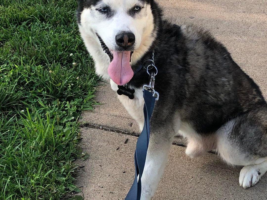 La Quinta Inn & Suites by Wyndham West Memphis主图