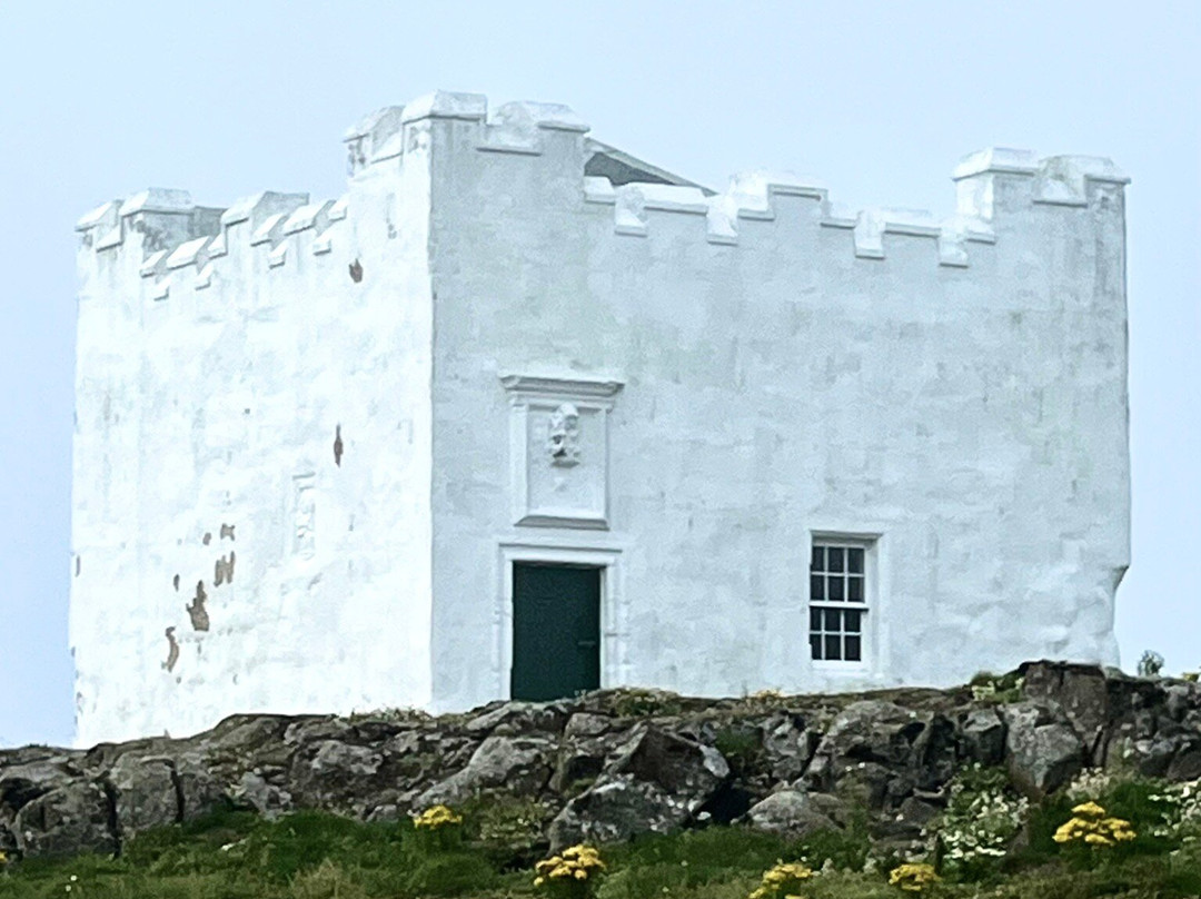Isle of May National Nature Reserve-Anstruther必去景点
