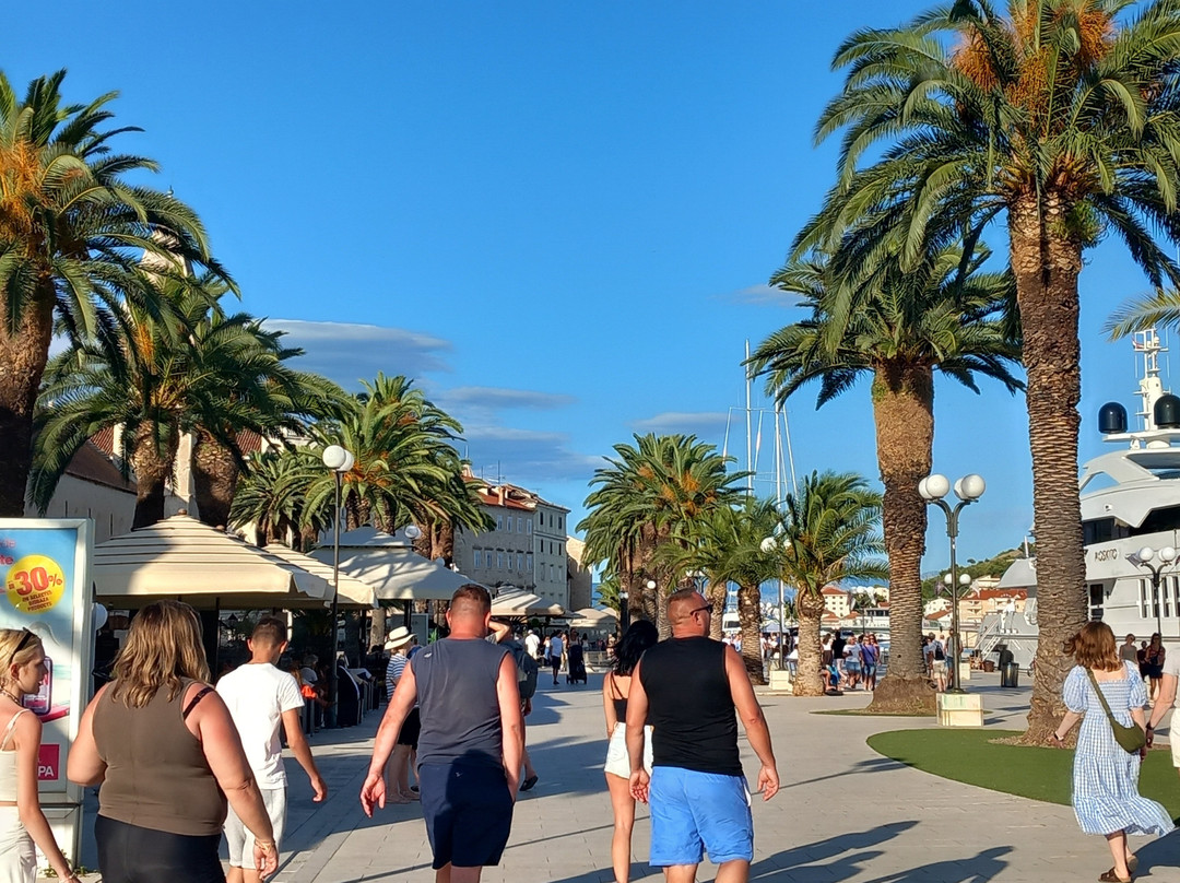 Waterfront Promenade-特罗吉尔必去景点