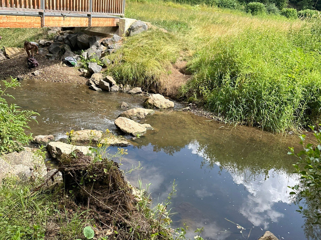 Wasserfall Dreimühlen-Uxheim必去景点