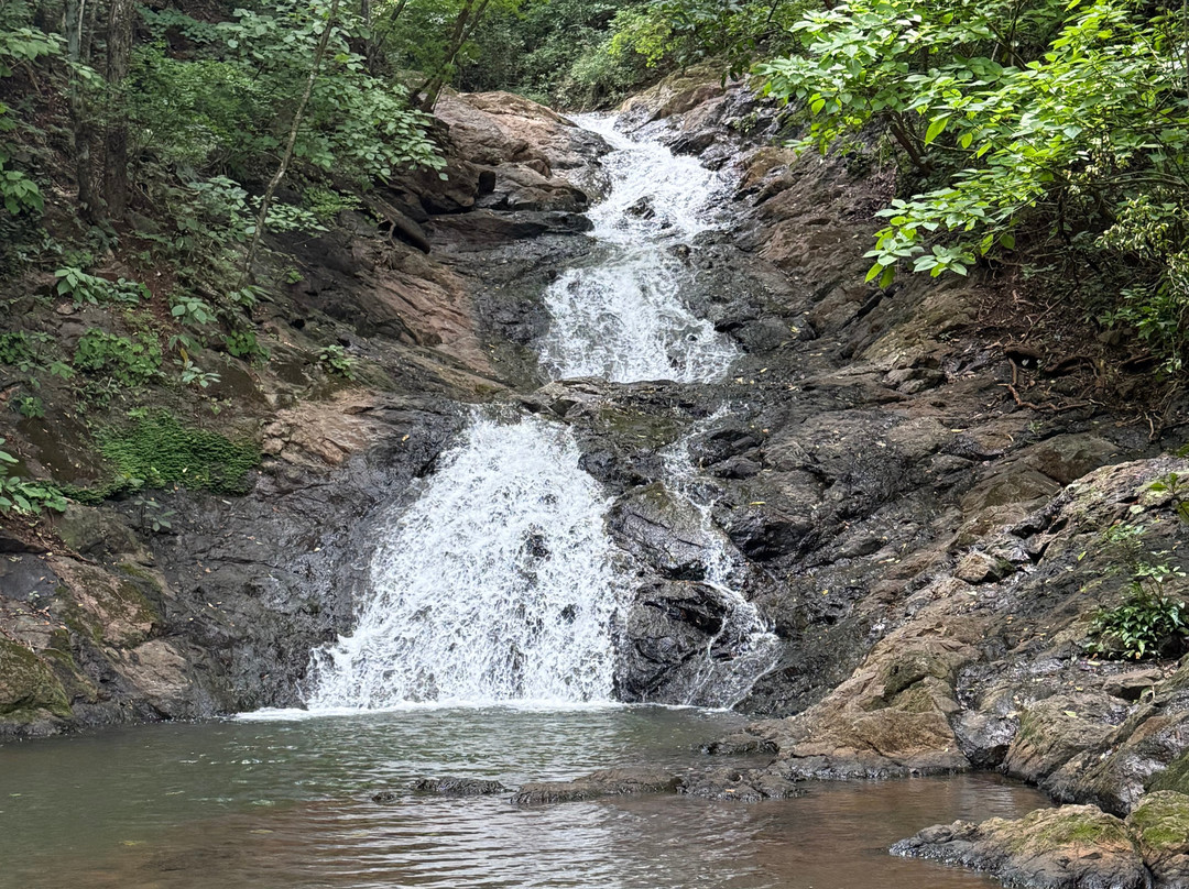 Pipin Rentals Nosara-诺萨拉必去景点