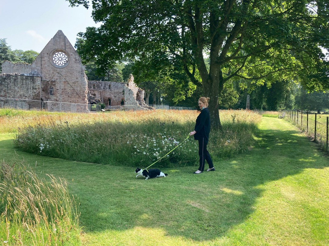 Dryburgh Abbey-St. Boswells必去景点