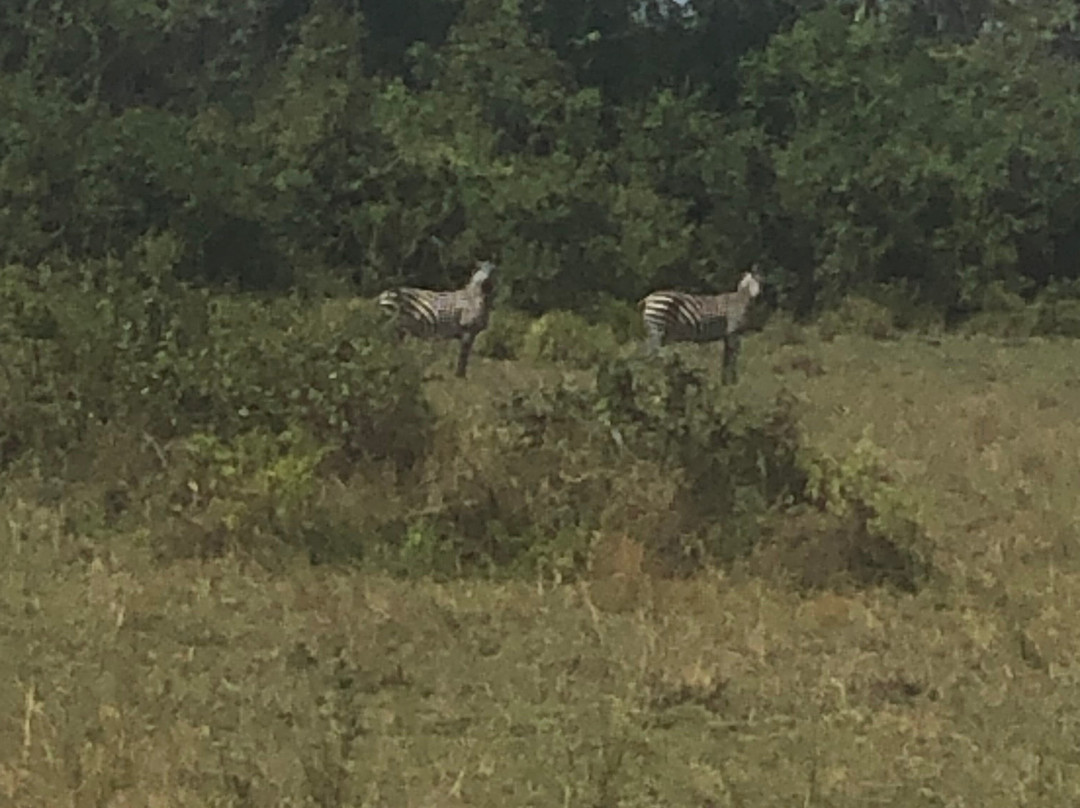 Nesa Africa Safaris Limited-Dar es Salaam必去景点