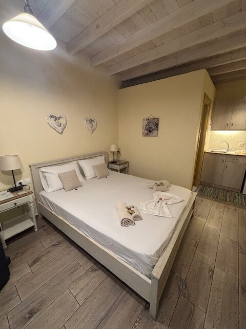 Alpha Stegna Sun主图