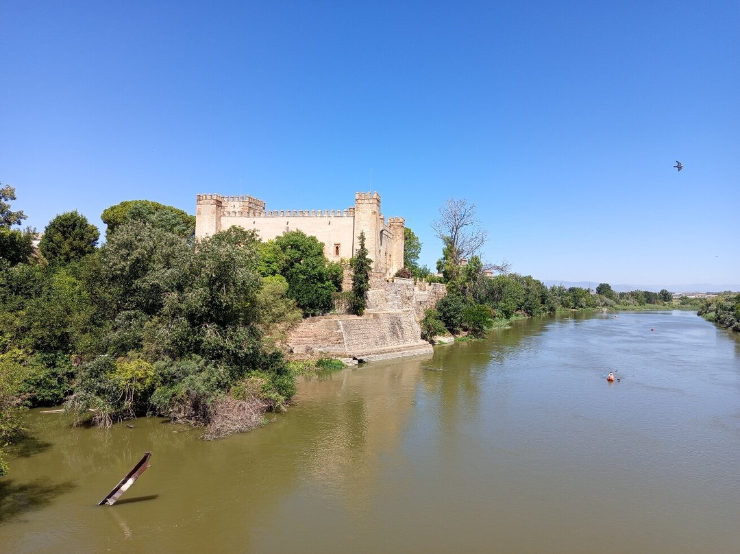 Castillo de Malpica-Malpica de Tajo必去景点