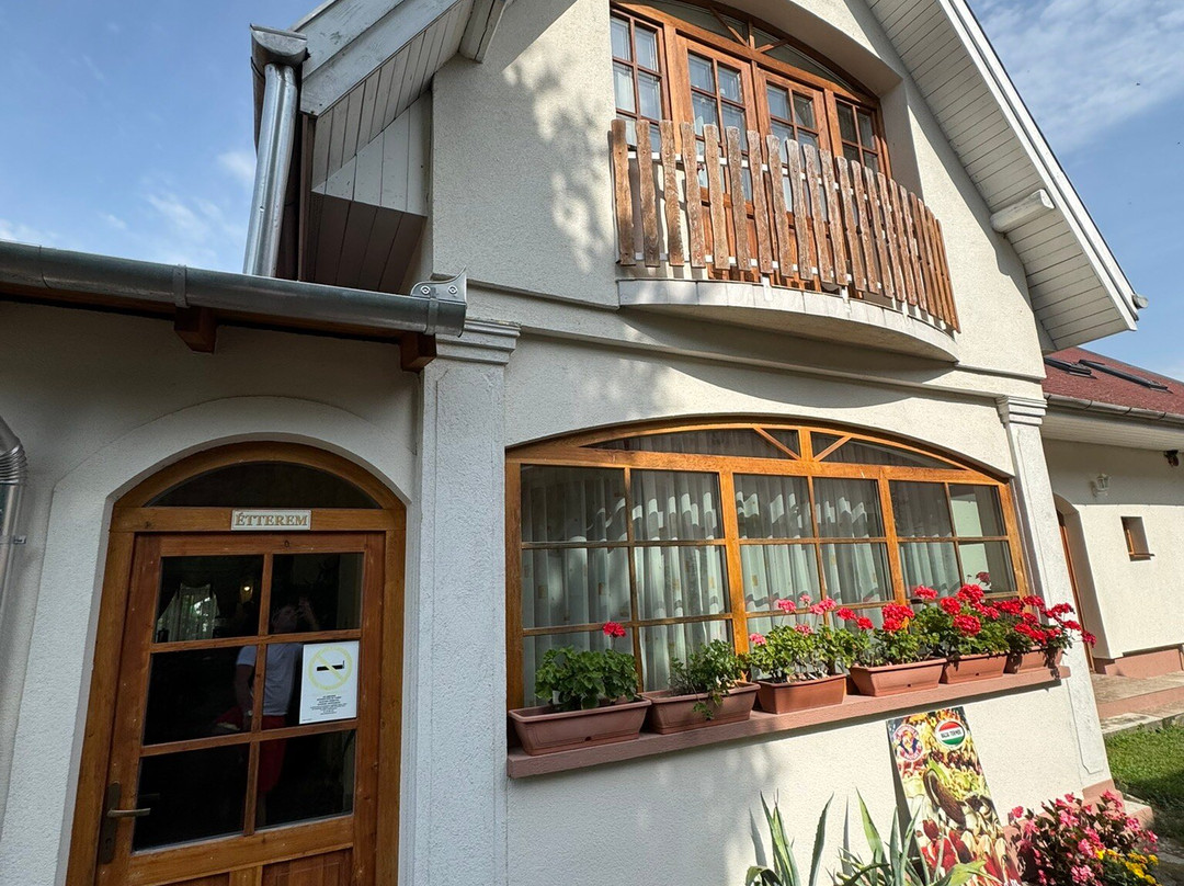 Aranybanya Hotel主图