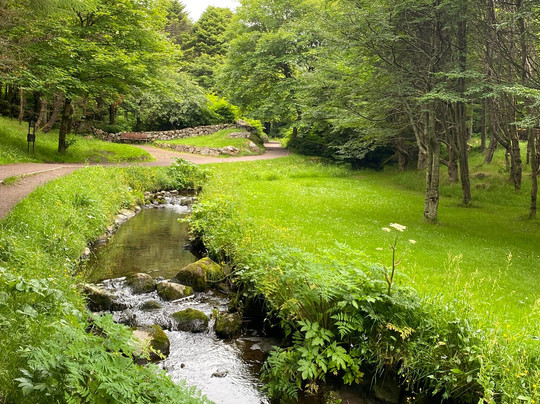Viðarlundin Park-托沙文必去景点
