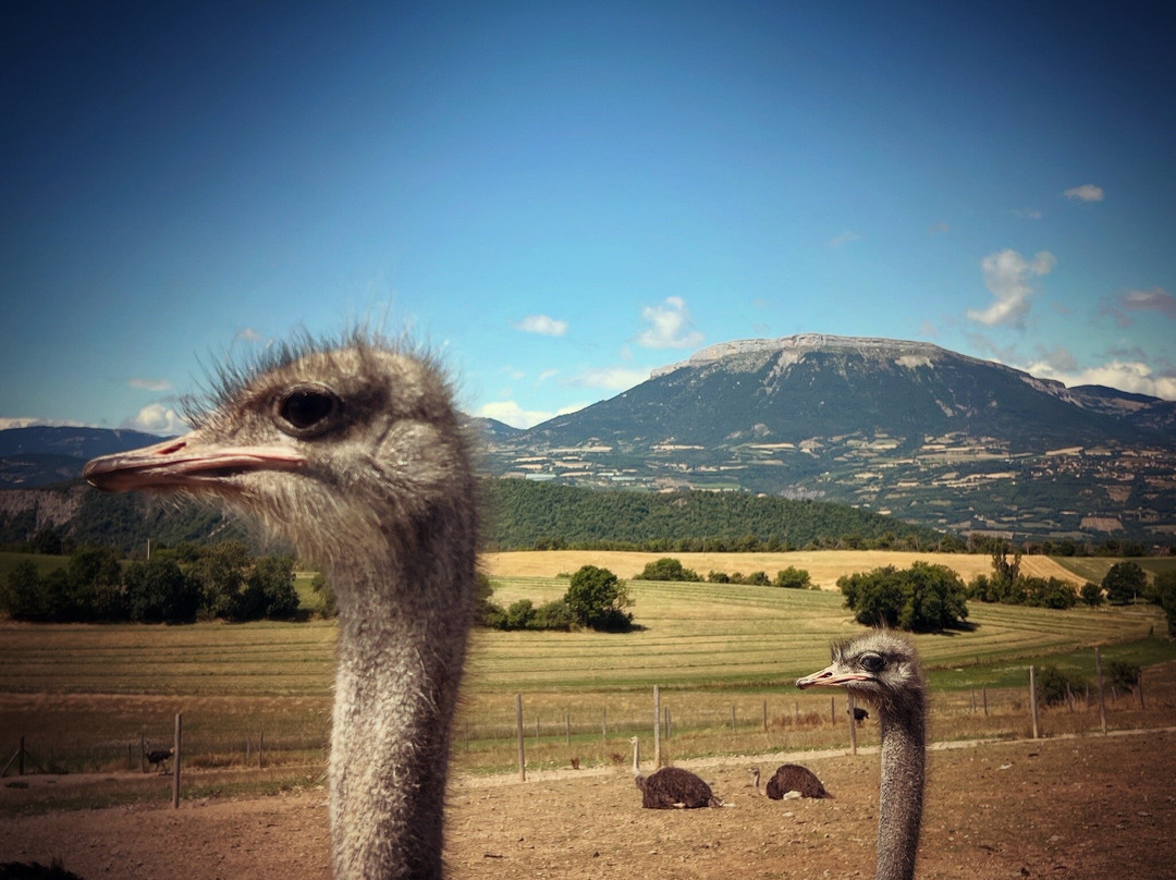 La Ferme Du Col-Jarjayes必去景点