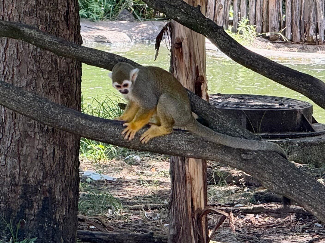 Caldwell Zoo-泰勒必去景点