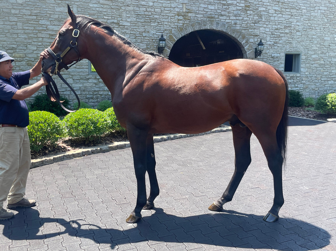 Coolmore America - Ashford Stud-Versailles必去景点