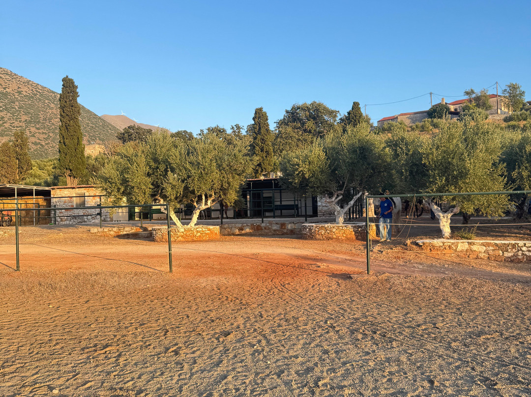 Mani Horses-East Mani必去景点