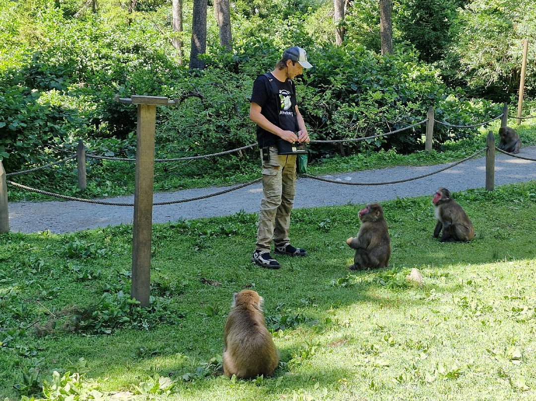 Abenteuer Affenberg tt.-Landskron必去景点