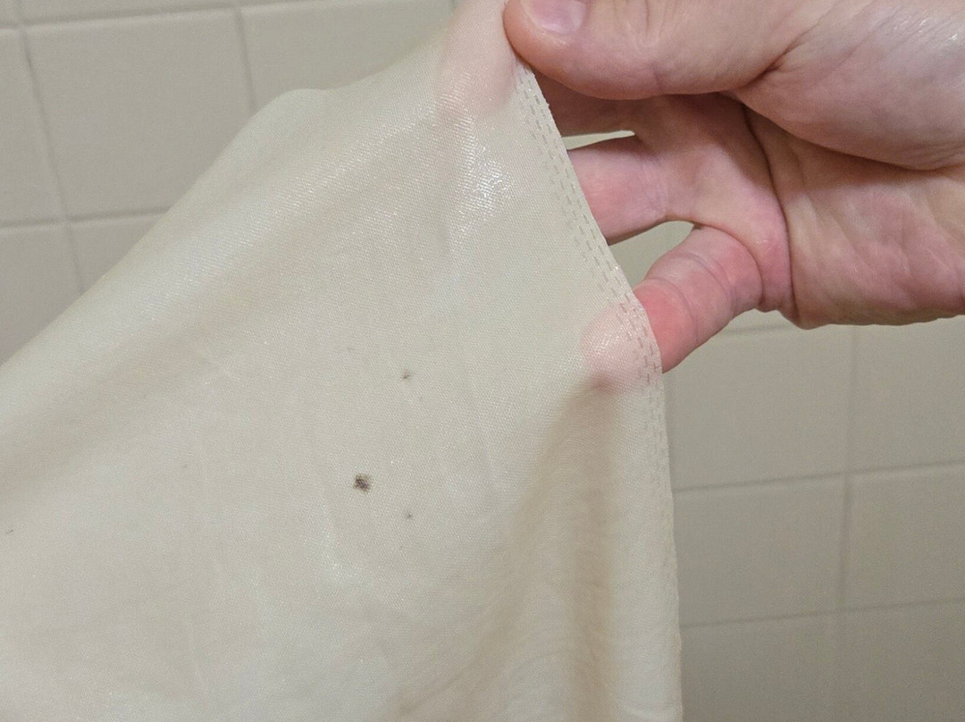 Best Western Gateway Grand主图