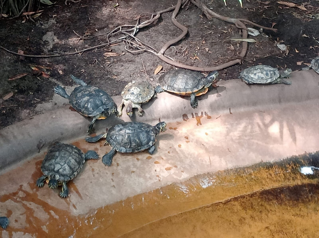 Aquazoo Loebbecke Museum-杜塞尔多夫必去景点