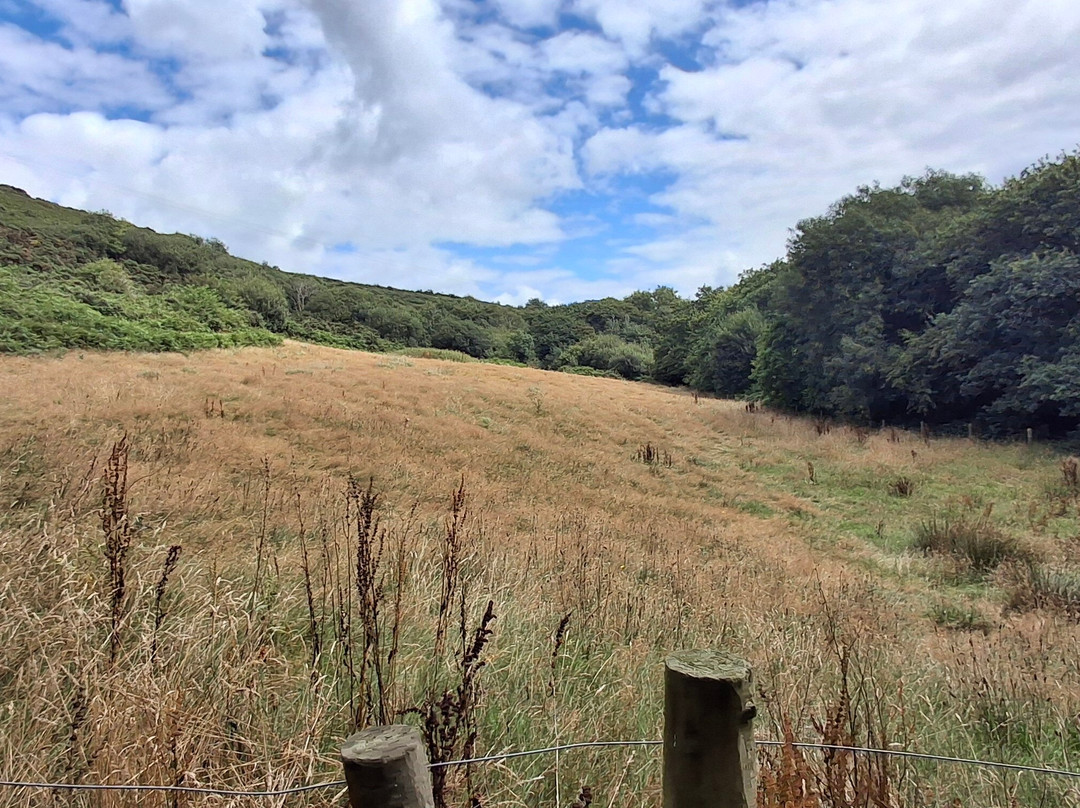 Kilkhampton to Coombe Valley-Kilkhampton必去景点