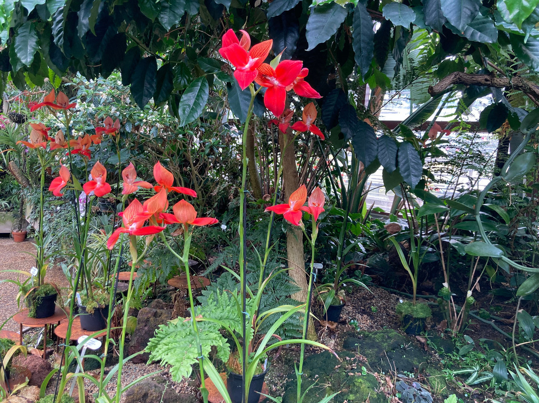 皇家花园-汉诺威必去景点