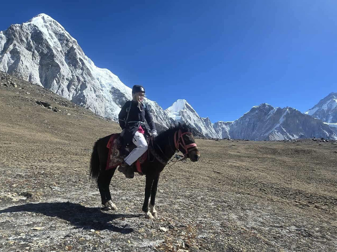 Swiss Family Treks & Expedition-加德满都必去景点