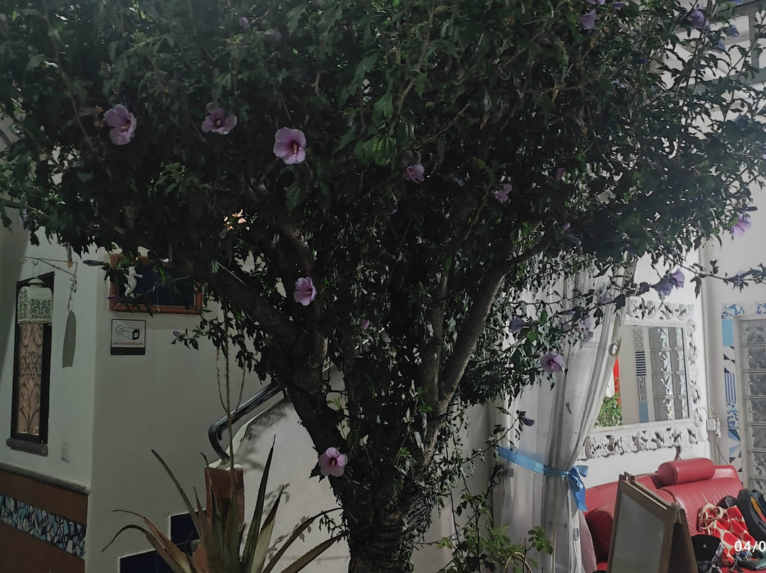 Villa Giulia - Vesuvian Guest House主图