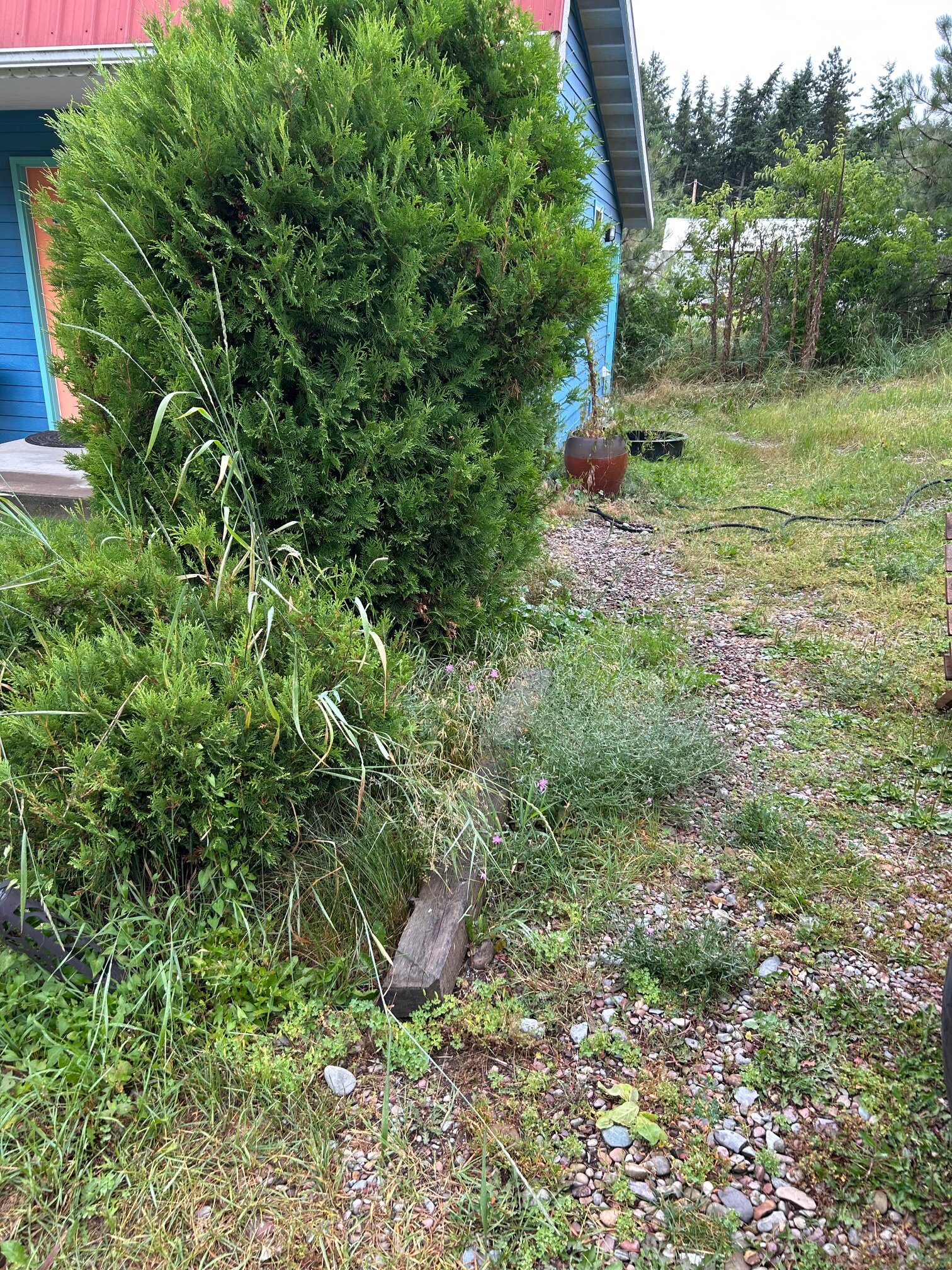 The Islander Inn-浴室