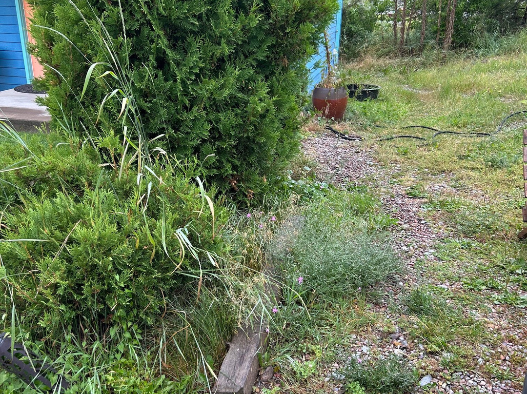 The Islander Inn主图