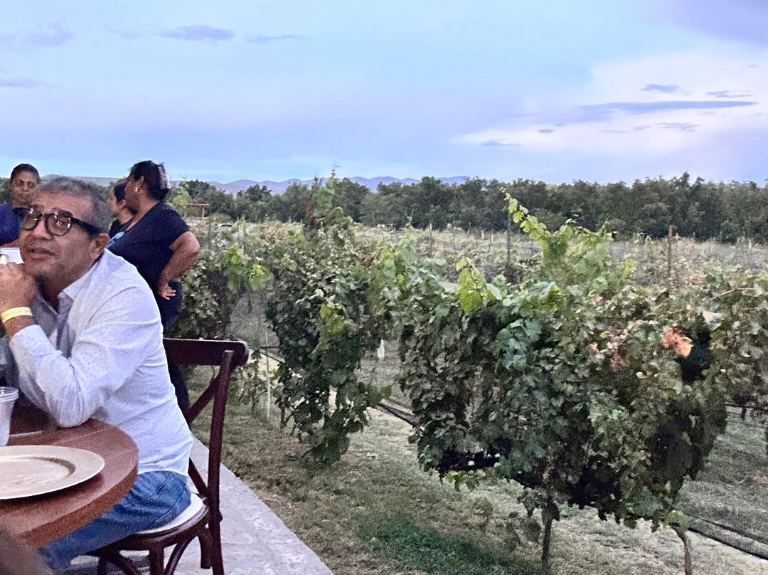 Vinicola Hacienda del Marqués-Parras de la Fuente必去景点